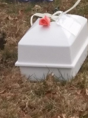 Monica Burial